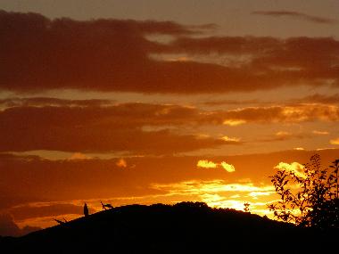 Ferienhaus in cheddar (South West) oder Ferienwohnung oder Ferienhaus