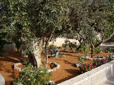 Ferienhaus in Balestrate (Palermo) oder Ferienwohnung oder Ferienhaus