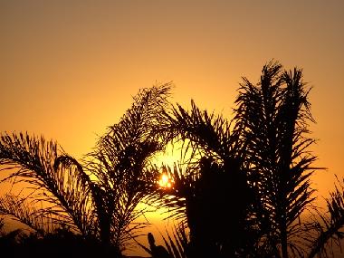 Pension in Jeffreys Bay/Paradise Beach (Eastern Cape) oder Ferienwohnung oder Ferienhaus