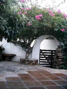 Gartentor und Teil der Terrasse, hier geht es links zur W�scheleine und durch das Tor zum Parkplatz.