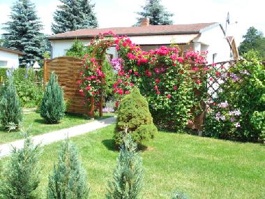 Das Haus im Gr�nen gelegen