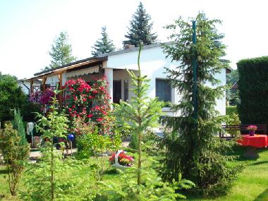 Terasse und Liegewiese 