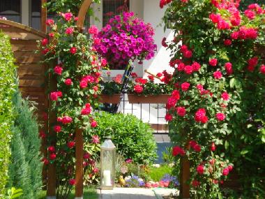 Vorderansicht - Terasse