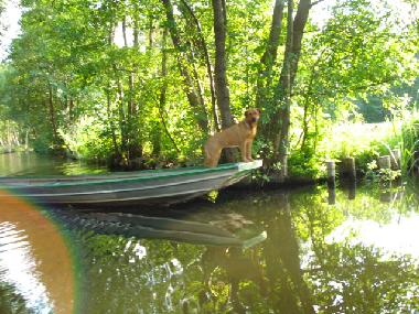 Spreewaldflie� im August