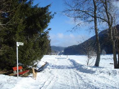 Auf dem Rundweg nach M�hlingen, sch�n zu jeder Jahreszeit