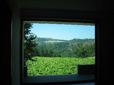 Ferienhaus in Cabeceiras Basto, Cavez (Norte) oder Ferienwohnung oder Ferienhaus