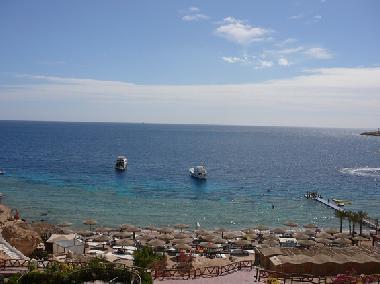 The beach downstairs the apartments
