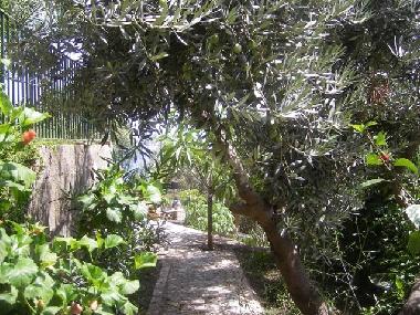 Ferienwohnung in Taormina (Messina) oder Ferienwohnung oder Ferienhaus