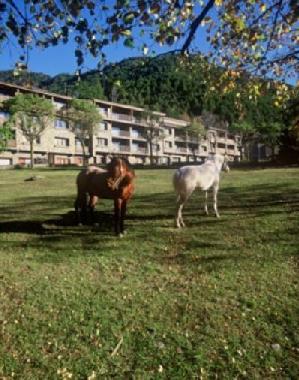 Ferienwohnung in La Massana (La Massana) oder Ferienwohnung oder Ferienhaus