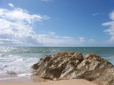 Ferienwohnung in 8200 - Albufeira (Algarve) oder Ferienwohnung oder Ferienhaus