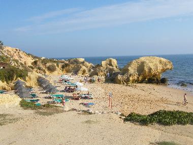 Ferienwohnung in 8200 - Albufeira (Algarve) oder Ferienwohnung oder Ferienhaus