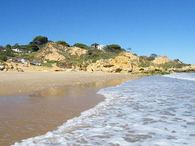 Ferienwohnung in 8200 - Albufeira (Algarve) oder Ferienwohnung oder Ferienhaus