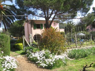 Ferienhaus in Procchio (Livorno) oder Ferienwohnung oder Ferienhaus