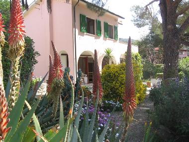 Ferienhaus in Procchio (Livorno) oder Ferienwohnung oder Ferienhaus