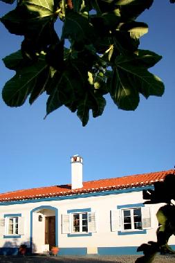 Ferienhaus in Montemor-o-Novo (Alentejo Central) oder Ferienwohnung oder Ferienhaus