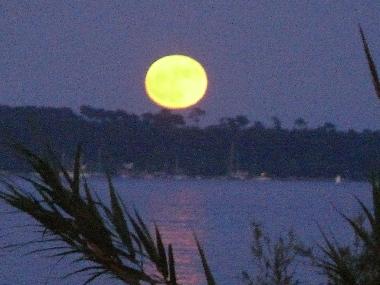 Ferienwohnung in Cannes (Alpes-Maritimes) oder Ferienwohnung oder Ferienhaus
