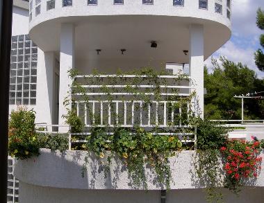 Ferienwohnung in Vodice (Sibensko-Kninska) oder Ferienwohnung oder Ferienhaus