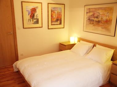 Ferienwohnung in San Sebastian (Guip�zcoa) oder Ferienwohnung oder Ferienhaus