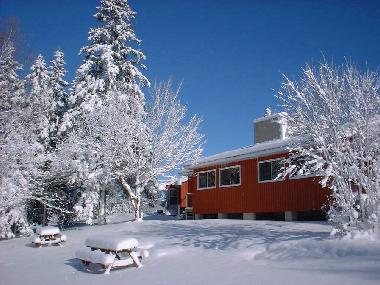 Ferienhaus in Ahmic Harbour (Ontario) oder Ferienwohnung oder Ferienhaus