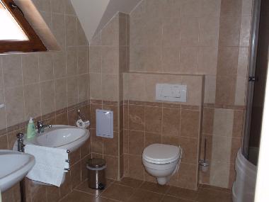 Ferienhaus in Brasov (Brasov) oder Ferienwohnung oder Ferienhaus