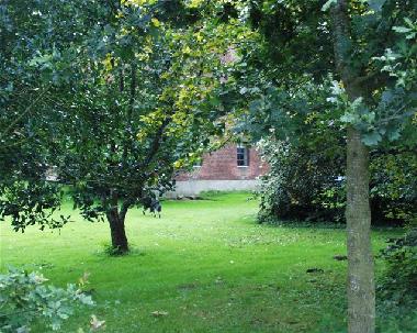 Ein Teil unseres Gartens