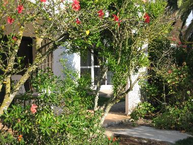 Chalet in conil (C�diz) oder Ferienwohnung oder Ferienhaus