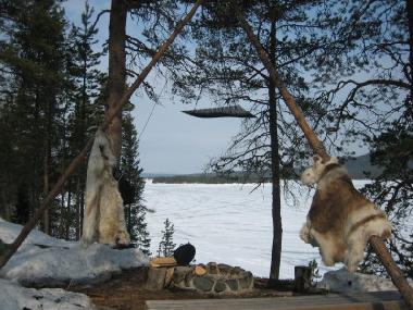 Ferienhaus in Jukkasj�rvi (Norrbotten) oder Ferienwohnung oder Ferienhaus