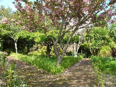 Villa in Viana do Castelo (Norte) oder Ferienwohnung oder Ferienhaus