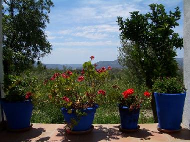Ferienhaus in V�lor (Granada) oder Ferienwohnung oder Ferienhaus