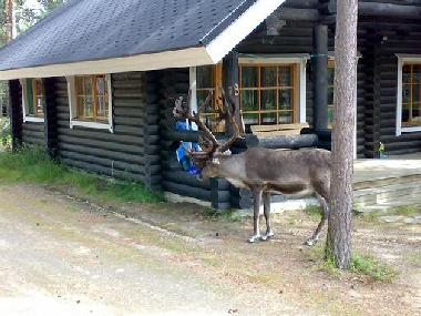 Ferienhaus in Pelkosenniemi (Lappi) oder Ferienwohnung oder Ferienhaus