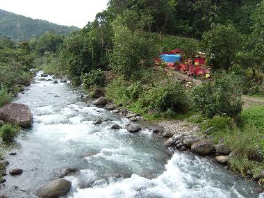 In den Blue Mountains. Eine Stunde vom Cottage mit Auto.