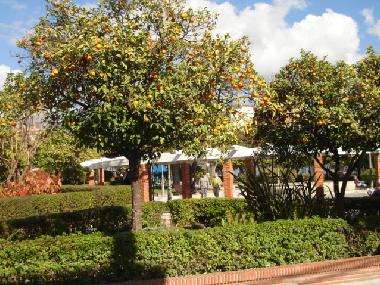 Ferienhaus in Nerja (M�laga) oder Ferienwohnung oder Ferienhaus