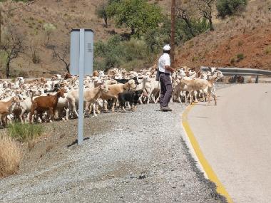 Ferienwohnung in Nerja (Mlaga) oder Ferienwohnung oder Ferienhaus