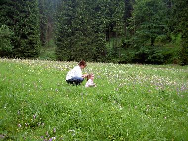 Ferienwohnung in St�tzerbach (Th�ringer Wald) oder Ferienwohnung oder Ferienhaus