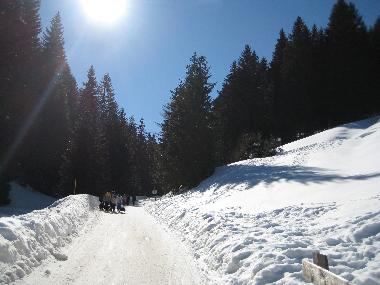 Rodelbahn Richtung Maria Waldrast (Gehweg)
