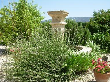 Pension in Coustellet (Vaucluse) oder Ferienwohnung oder Ferienhaus