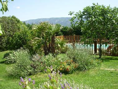 Pension in Coustellet (Vaucluse) oder Ferienwohnung oder Ferienhaus