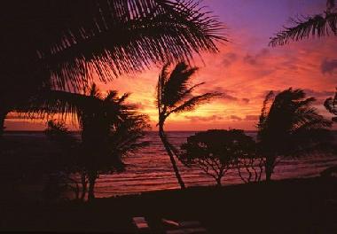 Ferienhaus in Kapaa (Hawaii) oder Ferienwohnung oder Ferienhaus