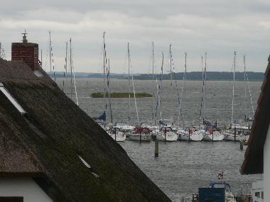 Blick auf den Bodden