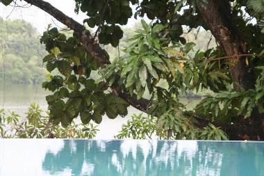 Ferienhaus in Hikkaduwa (Galle) oder Ferienwohnung oder Ferienhaus