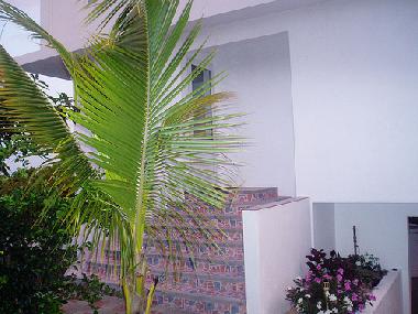 Chalet in Flic-en-flac (Black River) oder Ferienwohnung oder Ferienhaus
