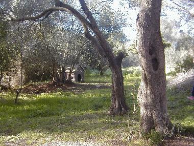 Ferienwohnung in Olbia (Sassari) oder Ferienwohnung oder Ferienhaus