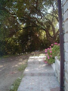 Ferienwohnung in Olbia (Sassari) oder Ferienwohnung oder Ferienhaus