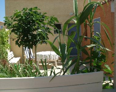 Terrasse im Eingangs-Garten