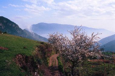 Ferienhaus in Bubion (Granada) oder Ferienwohnung oder Ferienhaus