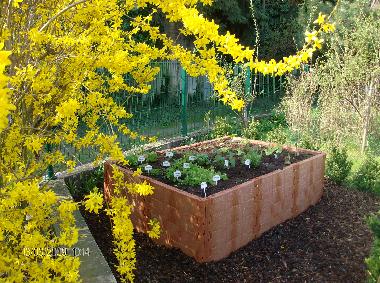 Ferienwohnung in Zellerndorf (Weinviertel) oder Ferienwohnung oder Ferienhaus