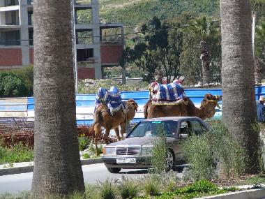 Ferienwohnung in T�nger (Tanger) oder Ferienwohnung oder Ferienhaus