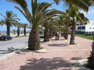 Ferienwohnung in T�nger (Tanger) oder Ferienwohnung oder Ferienhaus