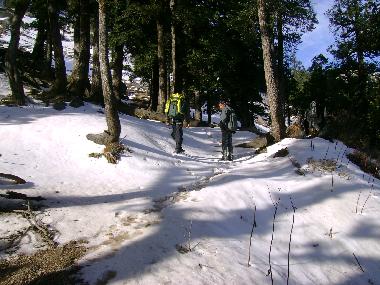 Ferienhaus in CHAUPAL (Himachal Pradesh) oder Ferienwohnung oder Ferienhaus
