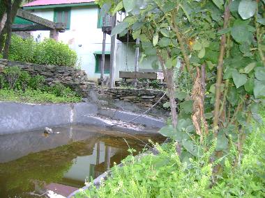 Ferienhaus in CHAUPAL (Himachal Pradesh) oder Ferienwohnung oder Ferienhaus